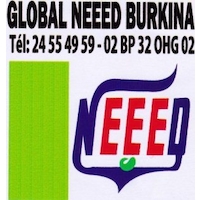 Global NEEED Burkina