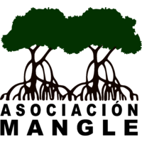 Mangrove Association