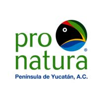 Pronatura Peninsula de Yucatan A.C. logo