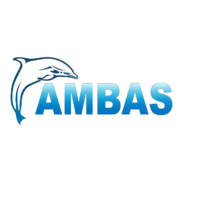 AMBAS (Women's Association of Barra de Santiago)