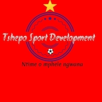 tshepo sport development logo
