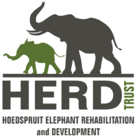 Hoedspruit Elephant Rehabilitation & Development