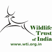 Wildlife Trust of India