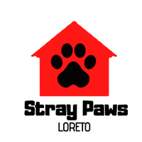 Stray Paws Loreto Asociacion Civil logo
