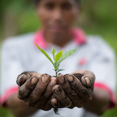 Climate Action