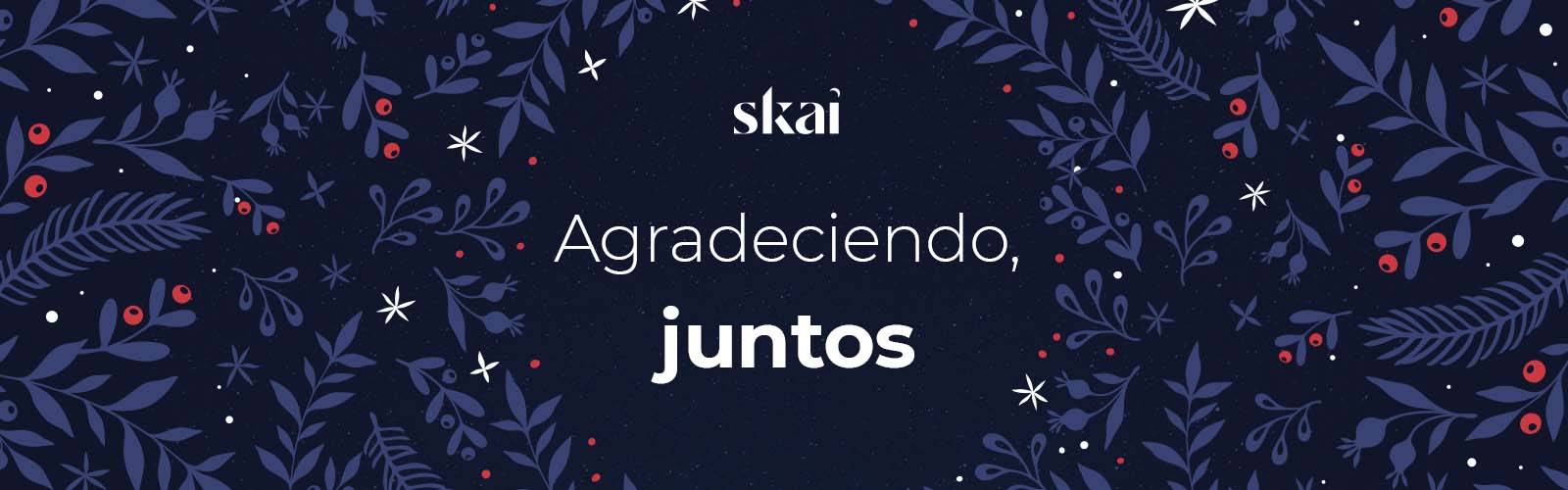 Feliz Navidad de parte de Skai | Skai